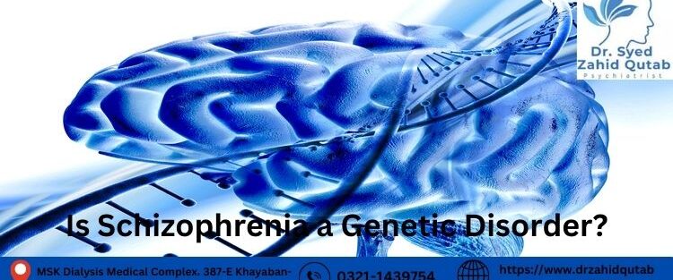 Is Schizophrenia a Genetic Disorder
